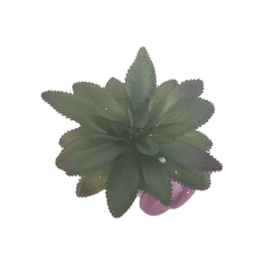 Sanrio Hello Kitty Face 3" Ceramic Mini Planter w/ Artificial Succulent NEW - Picture 3 of 5